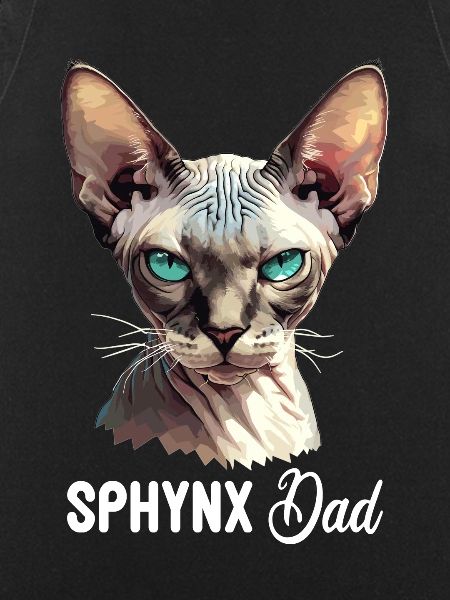 Sphynx Kitten Sphynx Cat