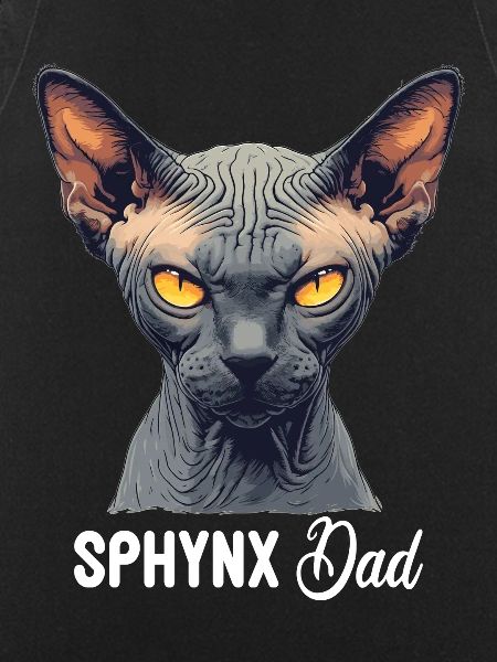 Sphynx Kitten Sphynx Cat