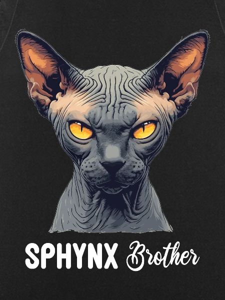 Sphynx Kitten Sphynx Cat