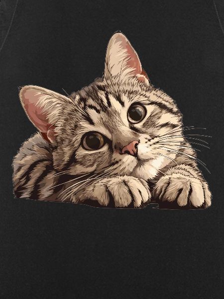 Tabby Kitten Tabby Cat