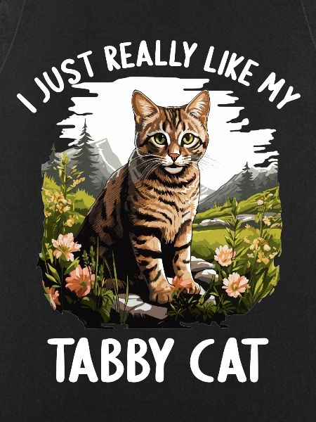 Tabby Kitten Tabby Cat