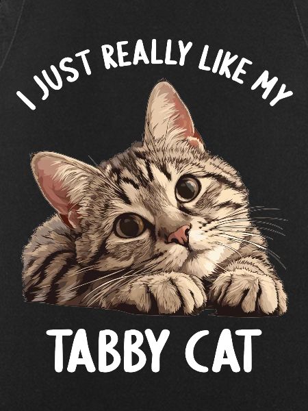 Tabby Kitten Tabby Cat