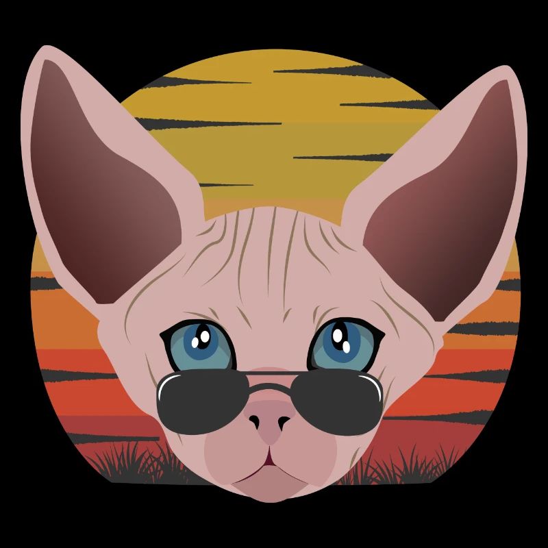 sphinx cat sunset