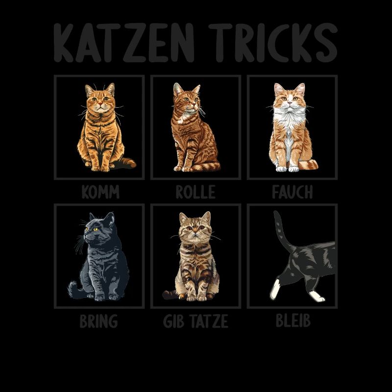 Chat Chats Astuces Chats Drôles