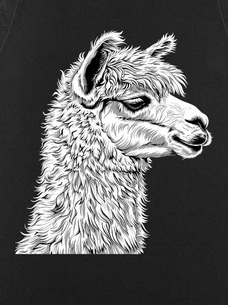Alpaca Alpacas Alpaca