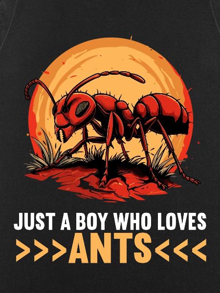 Fourmis fourmis