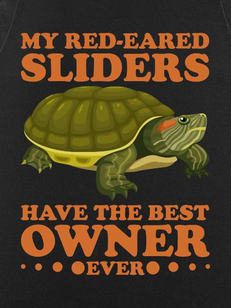 Red-eared Turtle Turtle