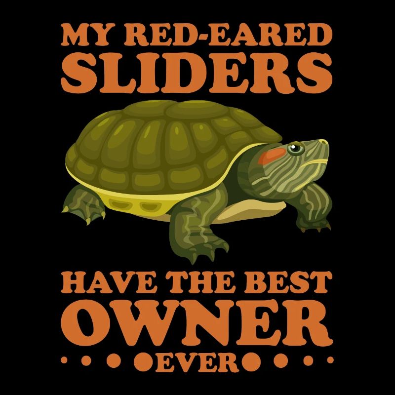 Red-eared Turtle Turtle