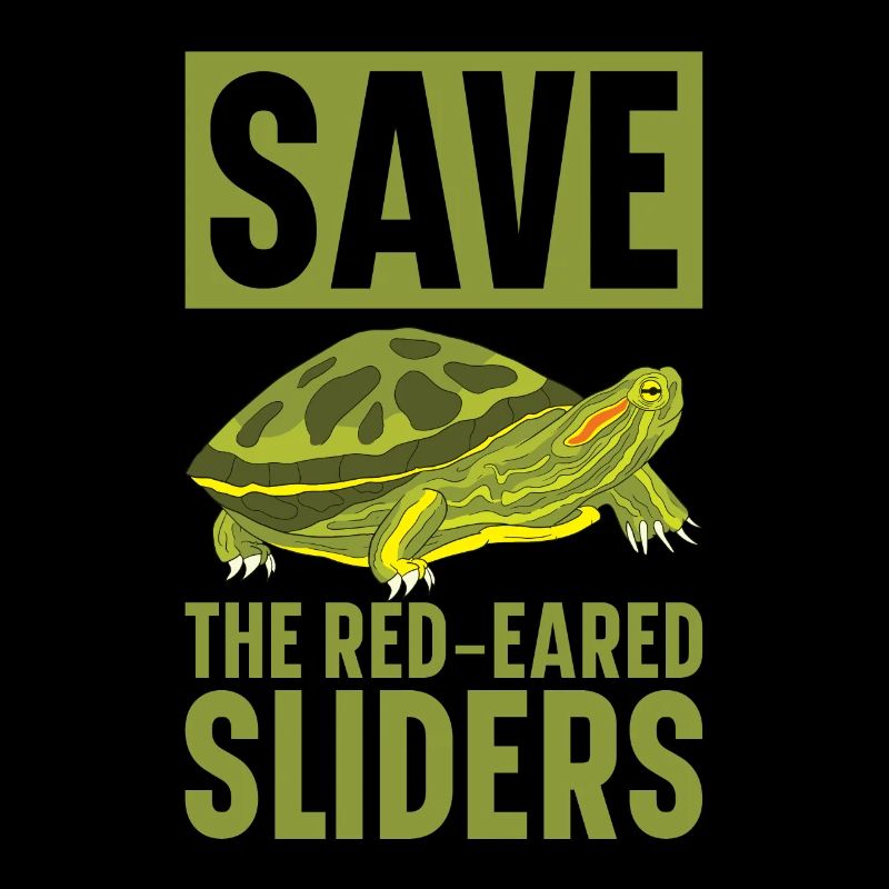 Red-eared Turtle Turtle