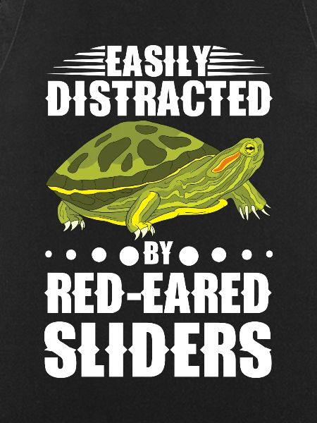 Red-eared Turtle Turtle