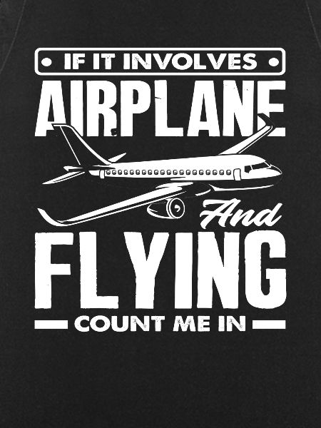 Pilot Airplanes Flying Pilots