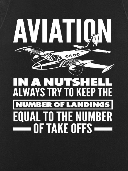 Pilot Aviation Hobby Profession