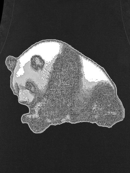 Panda big