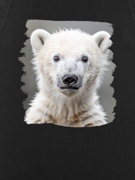 Polar Bear Eisbären Eisbär