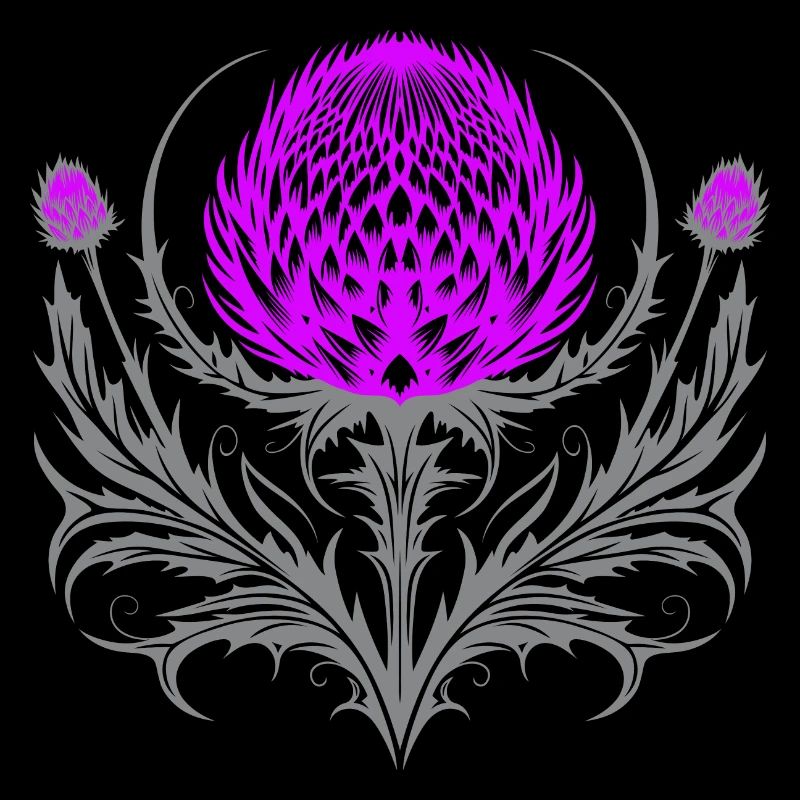 Distel Tattoo Scottish Thistle Botanical Art