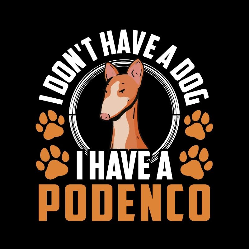Podenco Windhund Habe einen Podenco