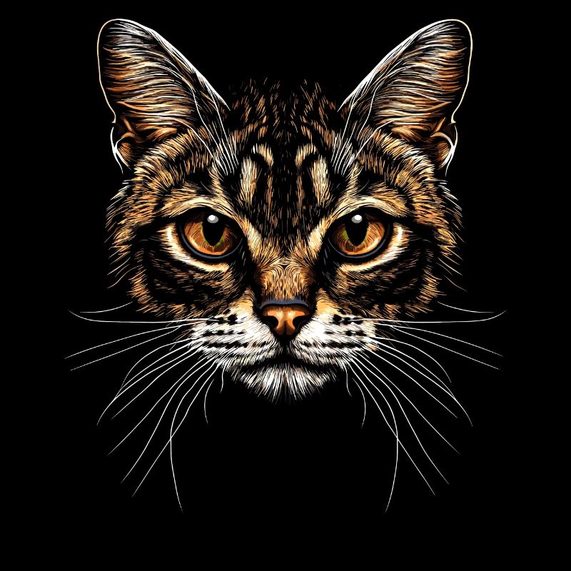 Bengal Katze Leopard Cat Leopardette Bengal Katzen