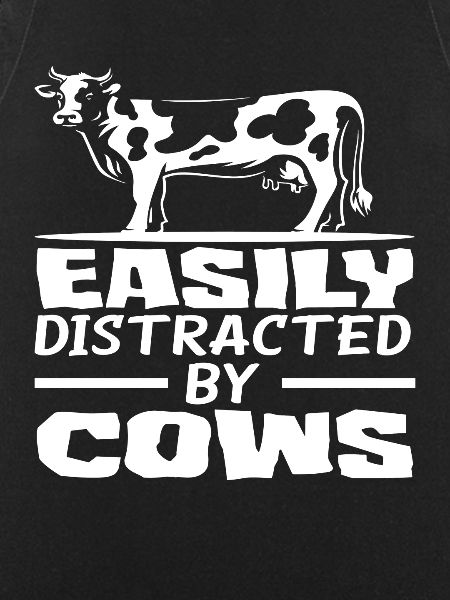 Easily distracted by cows