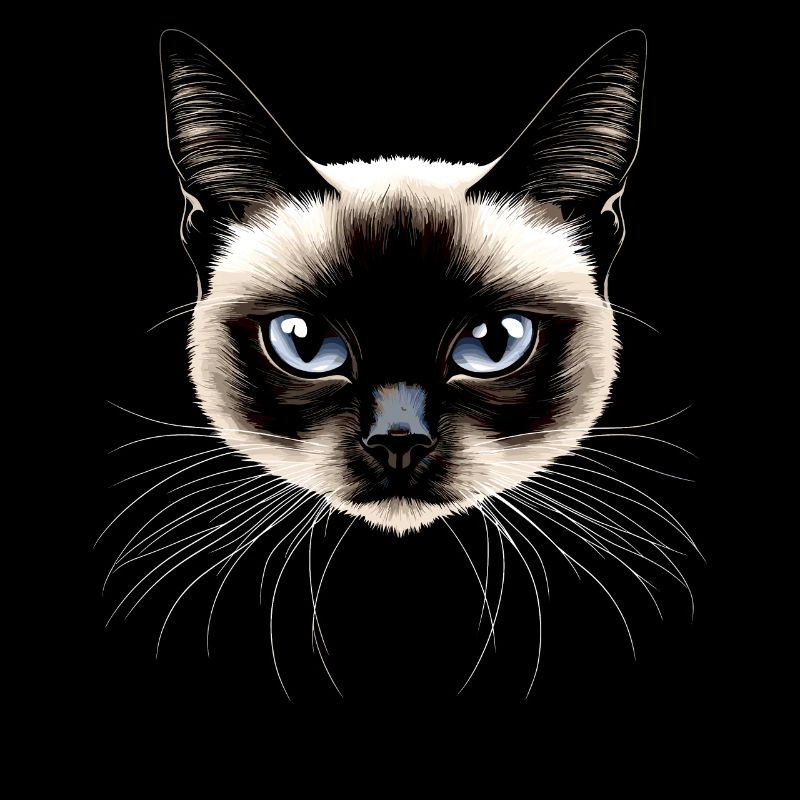 Siamese Cat Siamese Cat Siamese Cat Siamese Cats