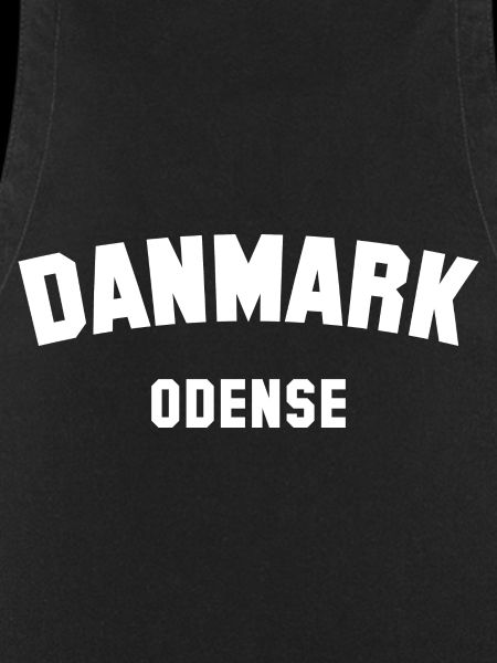 ODENSE Denmark Dänemark