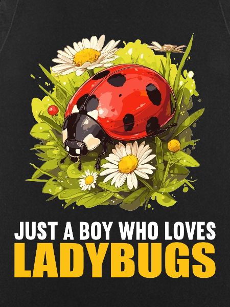 Ladybug Marienkäfer