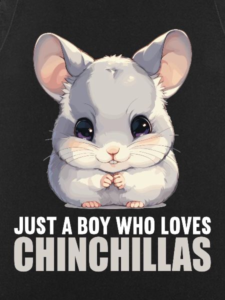 Chinchillas Chinchilla