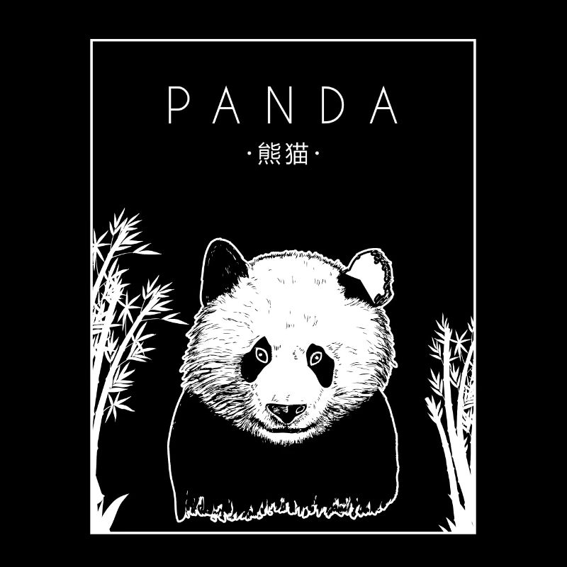 Panda Chinois Hanzi Panda Ours Ami Panda Géant