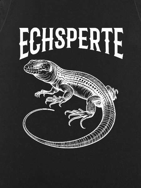 Lizard Iguana