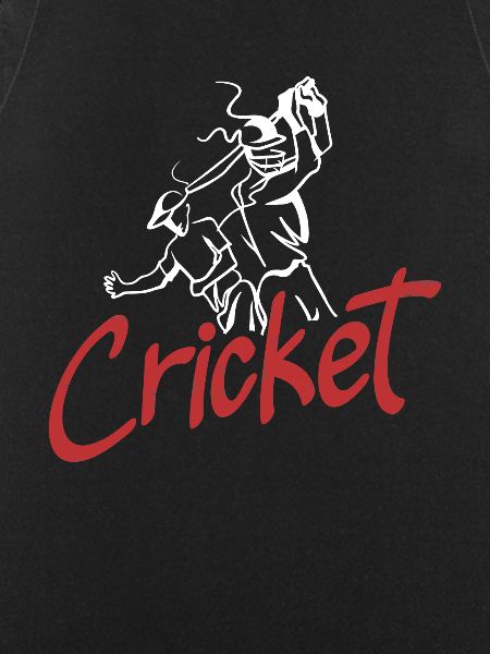 Cricket Player Graphical Illustration