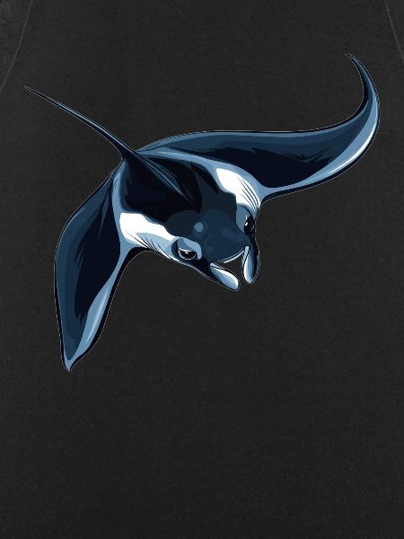 Manta Rays Manta Rays