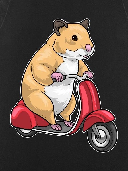 Hamster Scooter