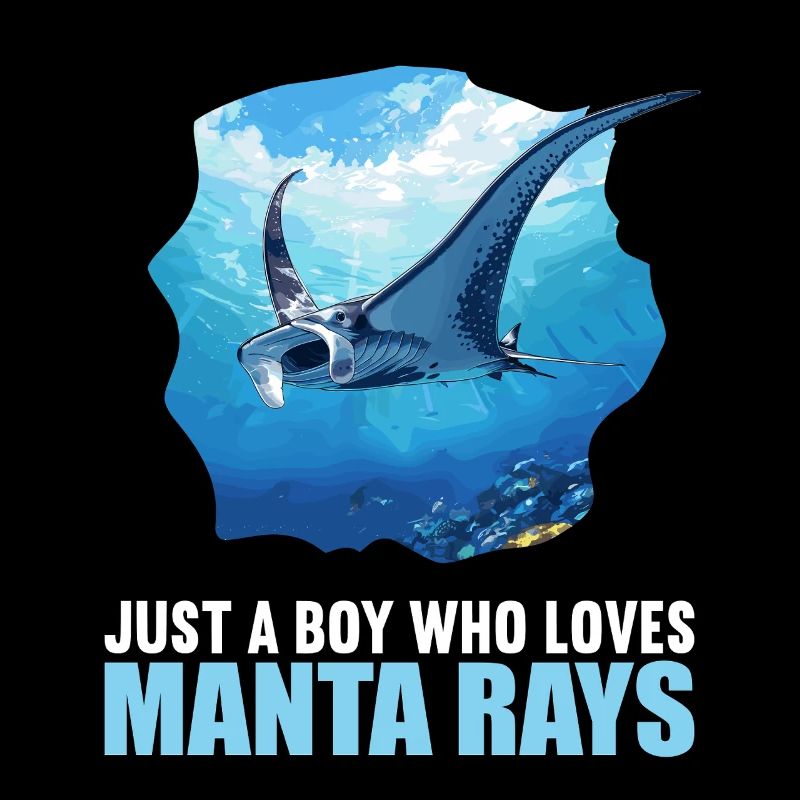 Manta Rays Manta Rays