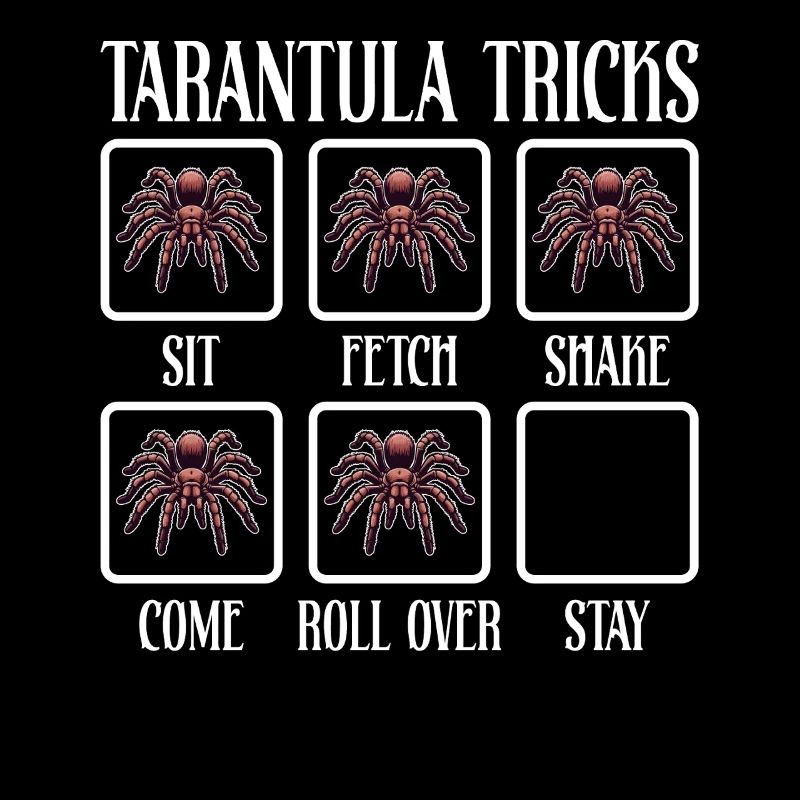 Tarantula Trick Funny Tarantula Large Hairy