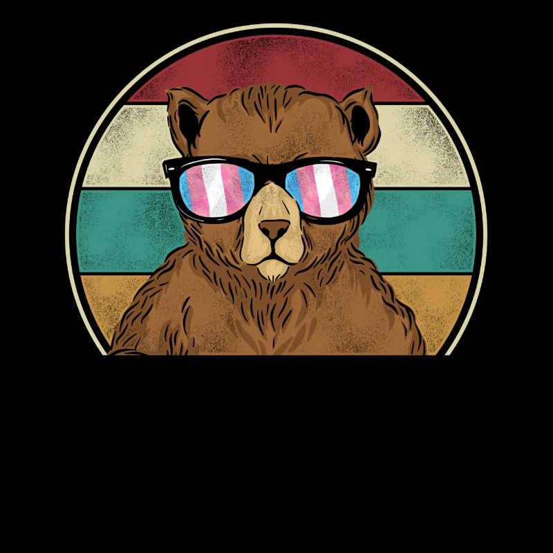 Transgender Trans LGBT Pride