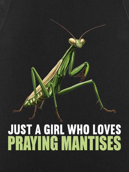 Praying mantises Praying mantis