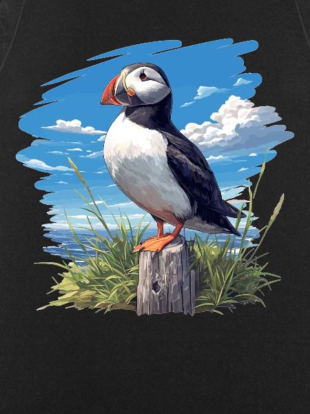 Puffin