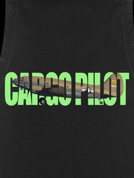 Cargo pilot C-46