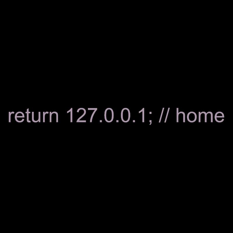 Programmer Nerd IT Joke Developer Home