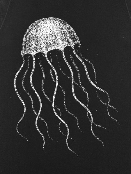Jellyfish