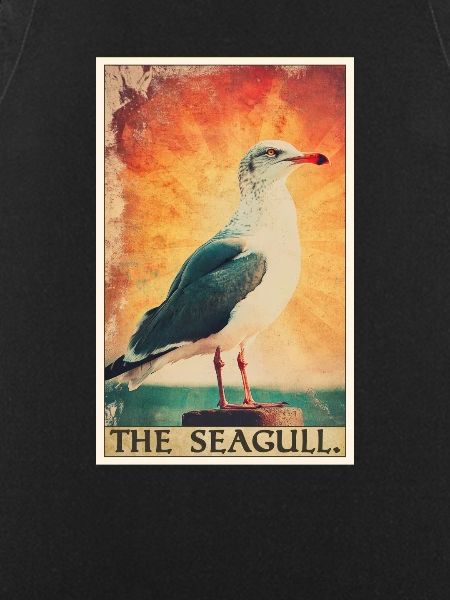 Seagulls Seagull