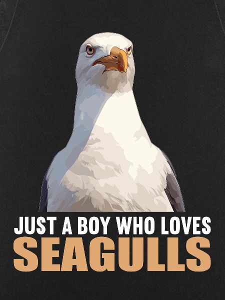 Seagulls Seagull