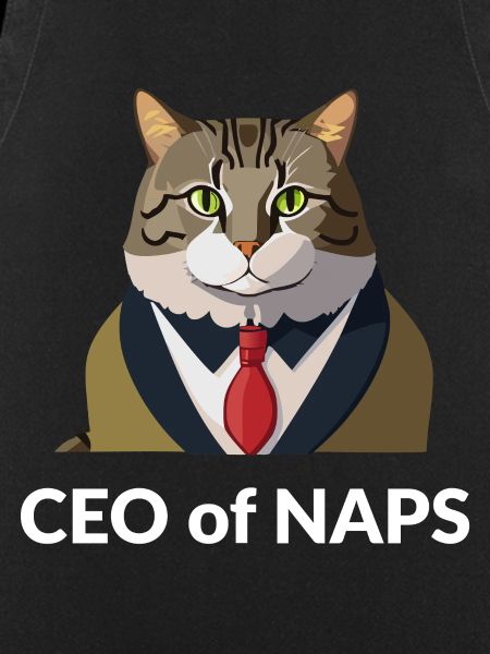Businessman cat with tie