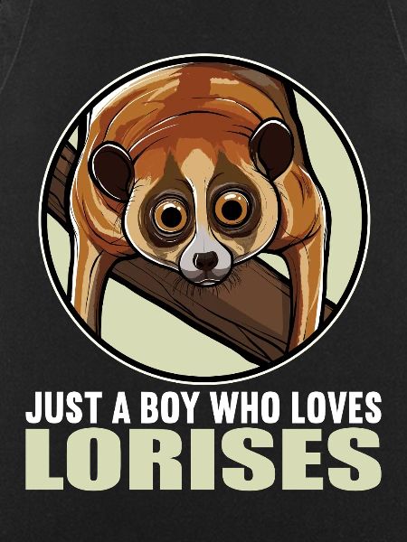 Plumploris Loris