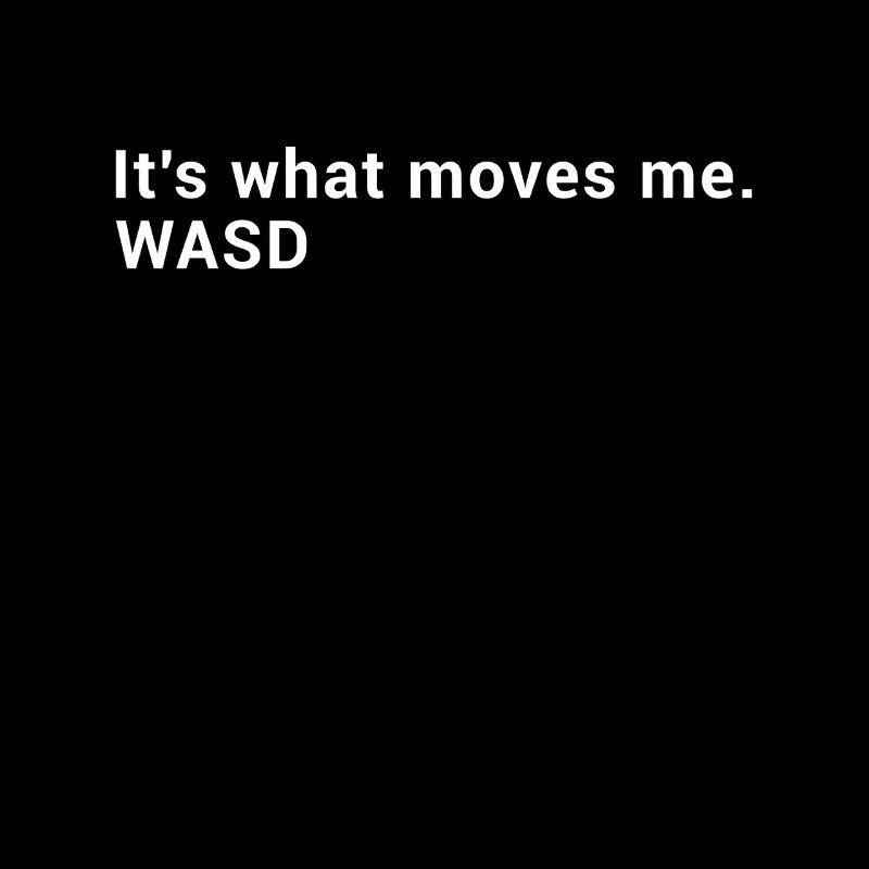 WASD It's what moves me - Streaming Computer Gamer