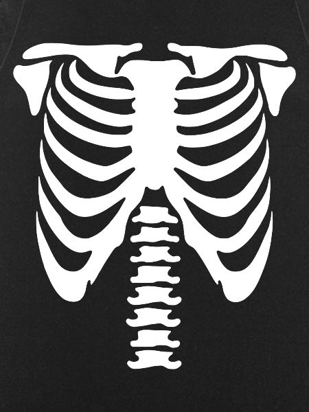 Skeleton Torso