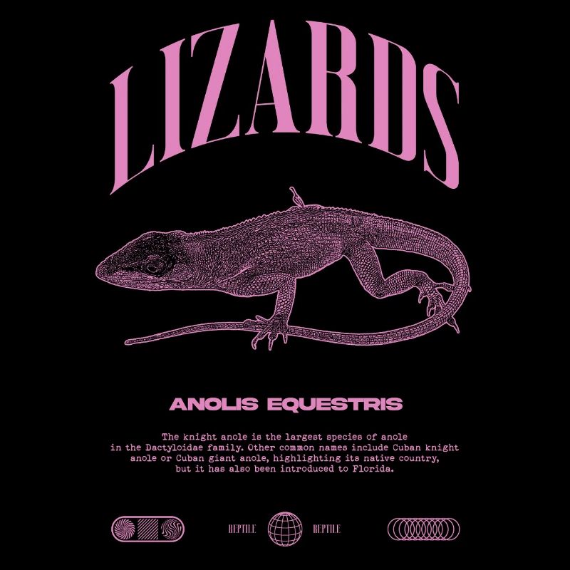 Cuban Knight Anole Reptile Keeper Lizard