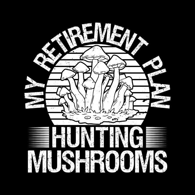 Morilles Plan de retraite Chasse aux champignons