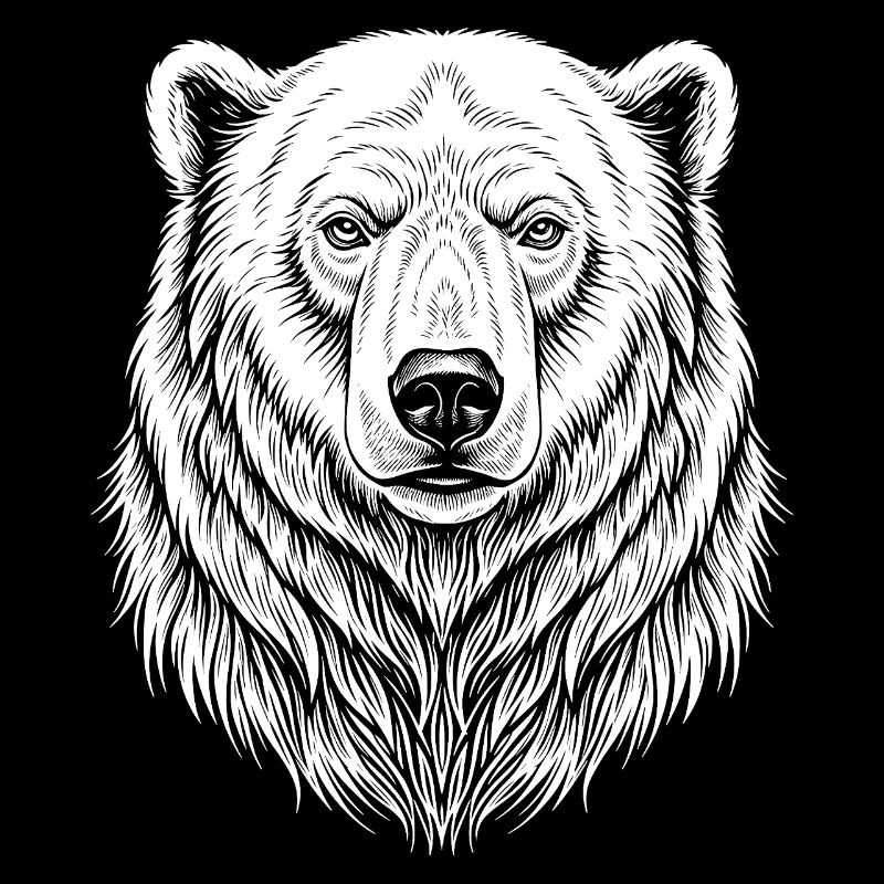 Bear Line Drawing