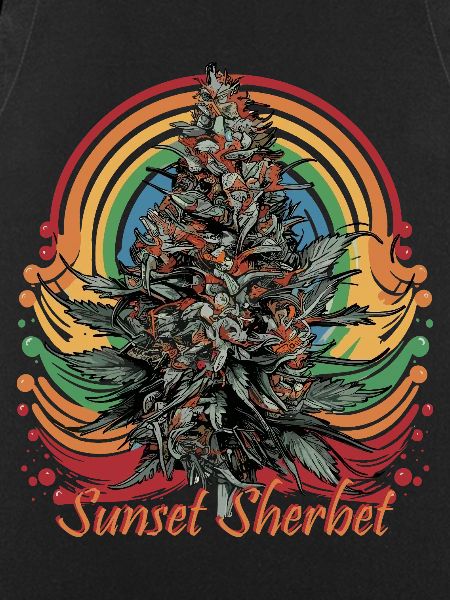 Sunset Sherbet