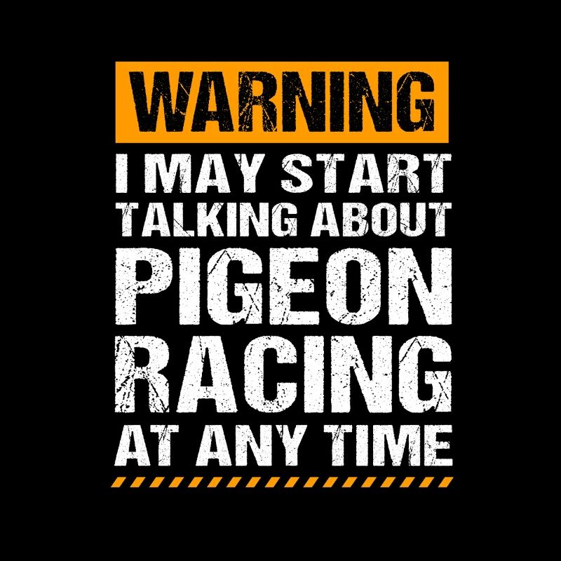 Course de pigeons Pigeons